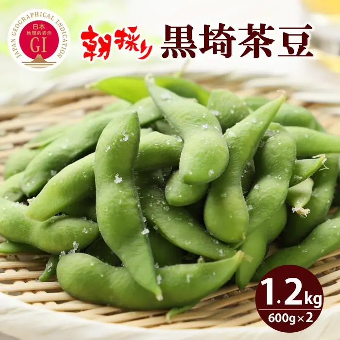 【先行予約】朝採り くろさき茶豆1.2kg｜芳醇な香りと濃厚な旨み〈GI登録産品〉2026年8月発送