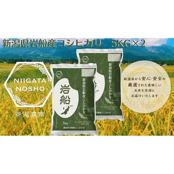 新潟県岩船産コシヒカリ　5kg×2