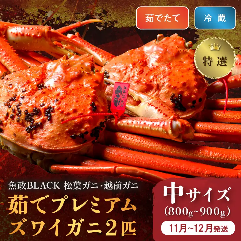 【蟹の匠 魚政】茹で　プレミアムズワイガニ 魚政BLACK（松葉ガニ・越前ガニ）特撰 中サイズ（800～900g） 2匹セット　(11月～12月発送) 蟹