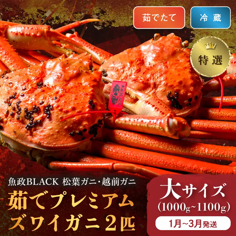 【蟹の匠 魚政】茹で　プレミアムズワイガニ 魚政BLACK（松葉ガニ・越前ガニ）特撰 大サイズ（1000～1100g） 2匹セット(1月～3月発送）蟹