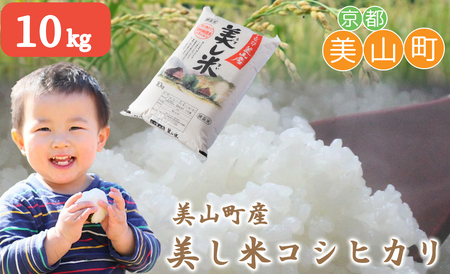米 美し米 5kg 美山産 コシヒカリ 白米 精米 コメ こめ お米 こしひかり 5 キロ ご飯 ごはん 京都 