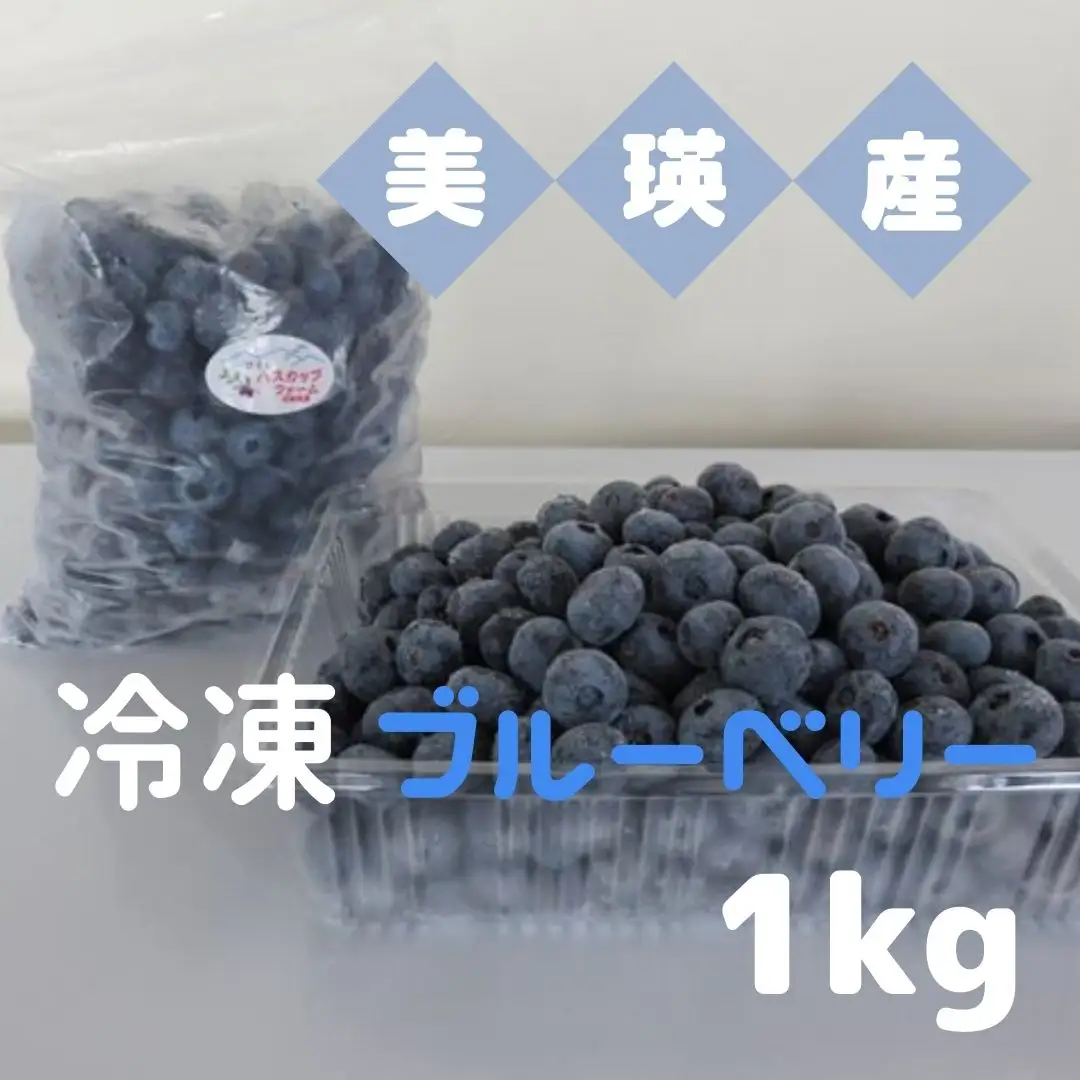 ブルーベリー 冷凍  1kg 北海道 ベリー 果物 フルーツ [019-66]