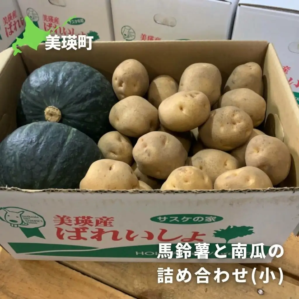 【令和9年産 先行予約】じゃがいも かぼちゃ 5kg 詰め合わせ セット 秋野菜セット サスケの家