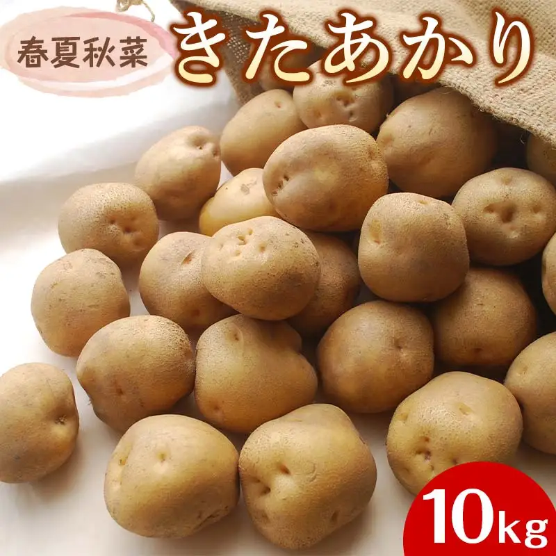 『春夏秋菜』きたあかり10kg 2026年9月より順次発送 じゃがいも ジャガイモ EB8-0197