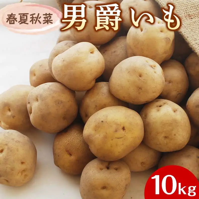 『春夏秋菜』男爵いも10kg 2026年10月より順次発送  じゃがいも ジャガイモ EB8-0198