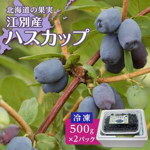 【北海道の果実】江別産ハスカップ（冷凍）500g×2パック EB8-0217