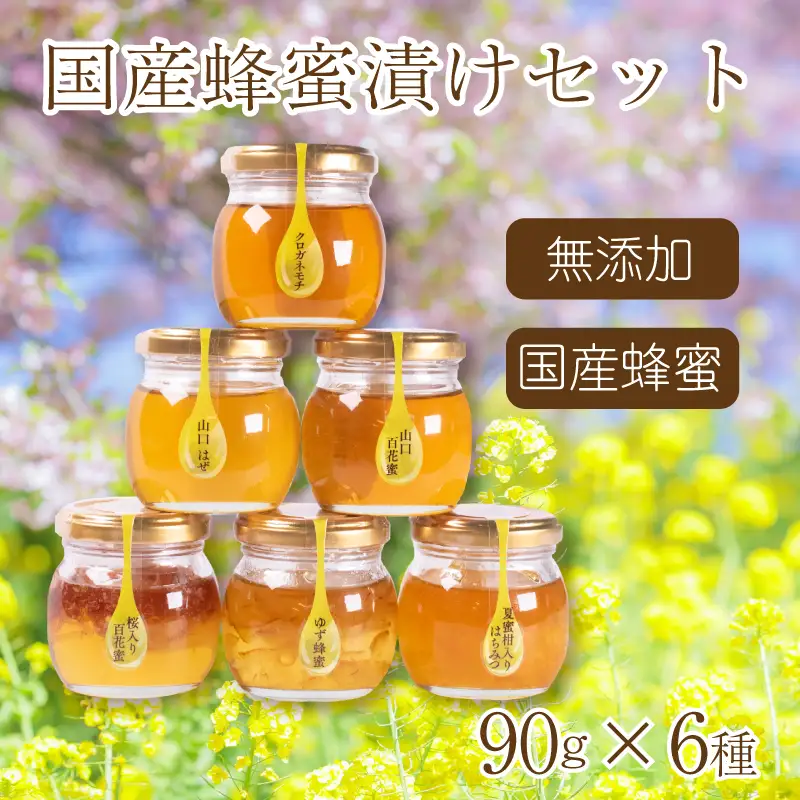 はちみつ 国産 蜂蜜漬け セット90g×6種 はちみつ ES