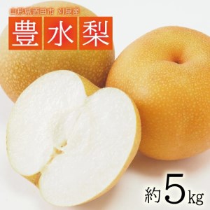 SC0688　酒田の果物専門店厳選　刈屋産 豊水梨　約5kg(10～16玉入)
