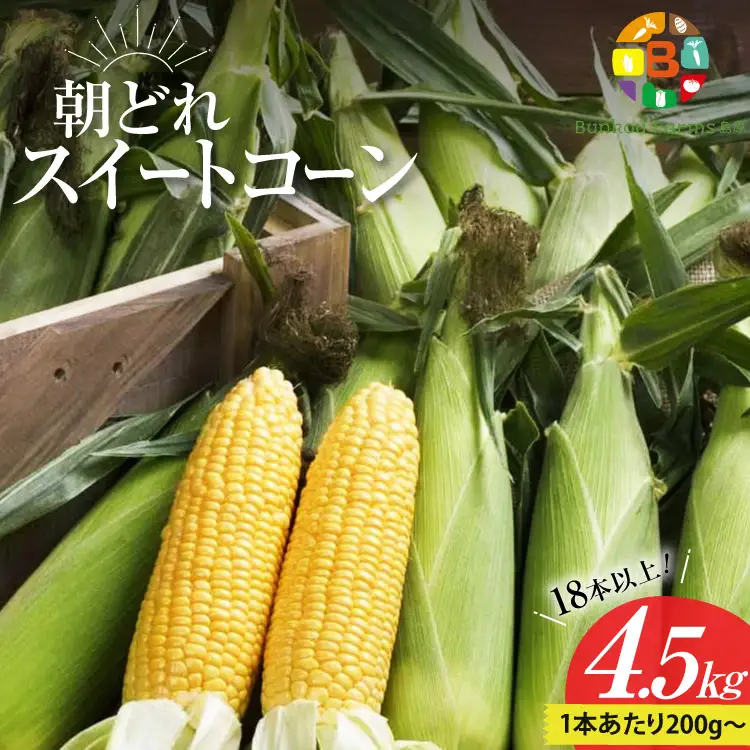 DG035 【令和9年度出荷分】 5月下旬から出荷！ 朝どれ スイートコーン 200g以上×18本以上 4.5kg ～名水百選の里 島原産～