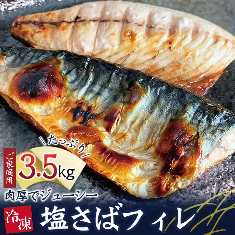 【ご家庭用】大容量！塩さばフィレ3.5kg　鯖 サバ 切身【uot749C】