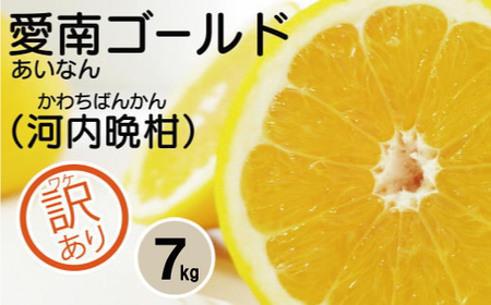 訳あり 愛南ゴールド 7kg 7000円 （発送期間：5月10日?無くなり次第終了） みかん かわちばんかん 河内晩柑 あいなん ゴールド 美生柑 文旦 グレープフルーツ 和製 家庭用 先行 事前 予約 受付 産地直送 国産 農家直送 糖度 果樹園 期間限定 数量限定 特産品 ゼリー ジュース 人気 限定 さわやか 甘い フルーツ 果物 柑橘 蜜柑 規格外 愛媛県 愛南町 吉田さんちの愛南ゴールド
