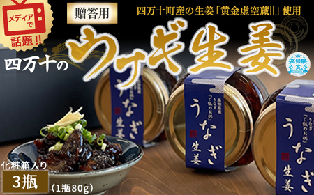 四万十うなぎ生姜 ご飯のお供 鰻 ショウガ しょうが 肴 常温 四万十鰻 国産 ／Ess-A28