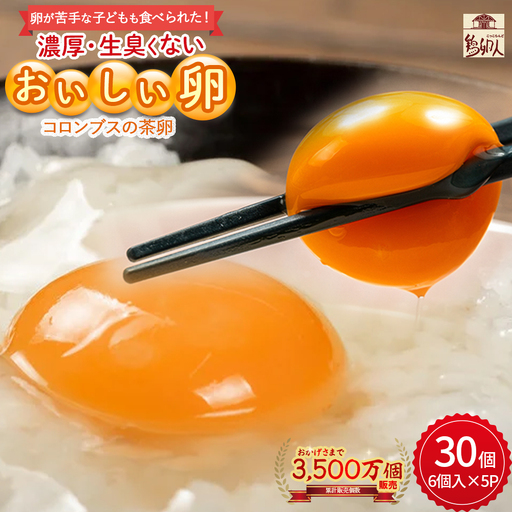 卵が苦手な子どもも食べられた！生臭くないおいしい卵 6個入×5P たまご ／Gbn-A03