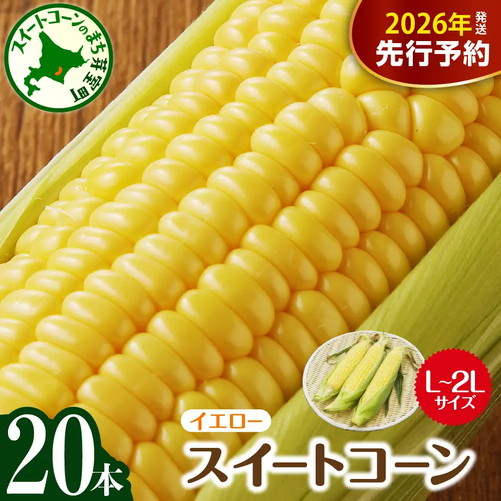 とうもろこし イエロー種 L ～ 2L 20本 トウモロコシ | 北海道芽室町