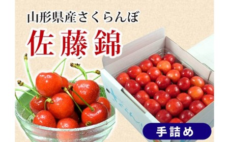 《先行予約 2027年度発送》さくらんぼ【佐藤錦】秀品 L 手詰め 500g FSY-0154