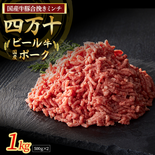 国産牛肉・豚肉の合挽きミンチ 1kg（500g×2） ひき肉 ミンチ ／Asz-C14