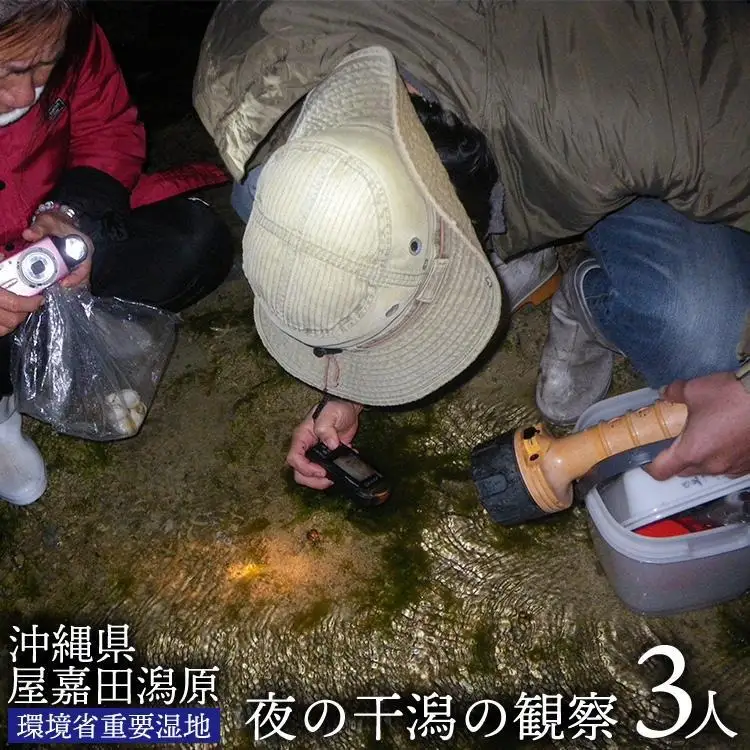 【環境省重要湿地】【屋嘉田潟原】夜の干潟の観察（3人）