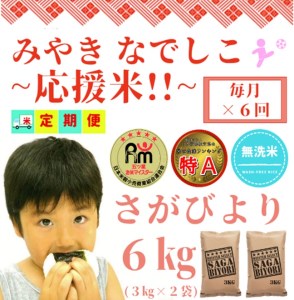 CID69_【みやきなでしこ】応援米【６回定期便】【無洗米】さがびより６kg（３kg×２袋） 【五つ星お米マイスター厳選！】