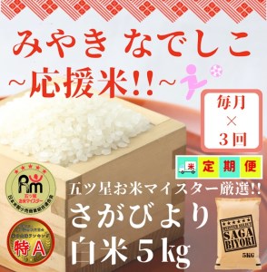 CID60_【みやきなでしこ】応援米【３回定期便】さがびより白米５kg 【五つ星お米マイスター厳選！】