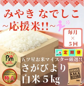 CID61_【みやきなでしこ】応援米【５回定期便】さがびより白米５kg 【五つ星お米マイスター厳選！】