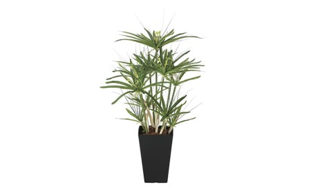光の楽園　パピルス60【配送不可：北海道・沖縄・離島】 インテリア 光触媒 人工植物 造花 フェイクグリーン 花 フラワー 清浄 消臭 