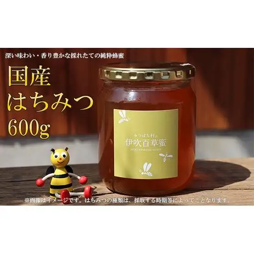 国産はちみつ600g