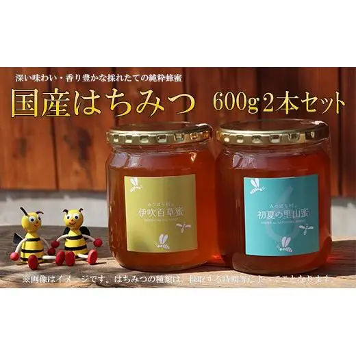 国産はちみつ600g2本セット