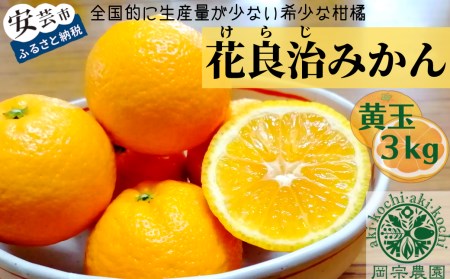 【先行予約】 みかん 花良治 黄玉 3kg 