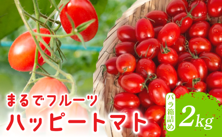 ハッピートマト2kg 先行予約【ミニトマト】