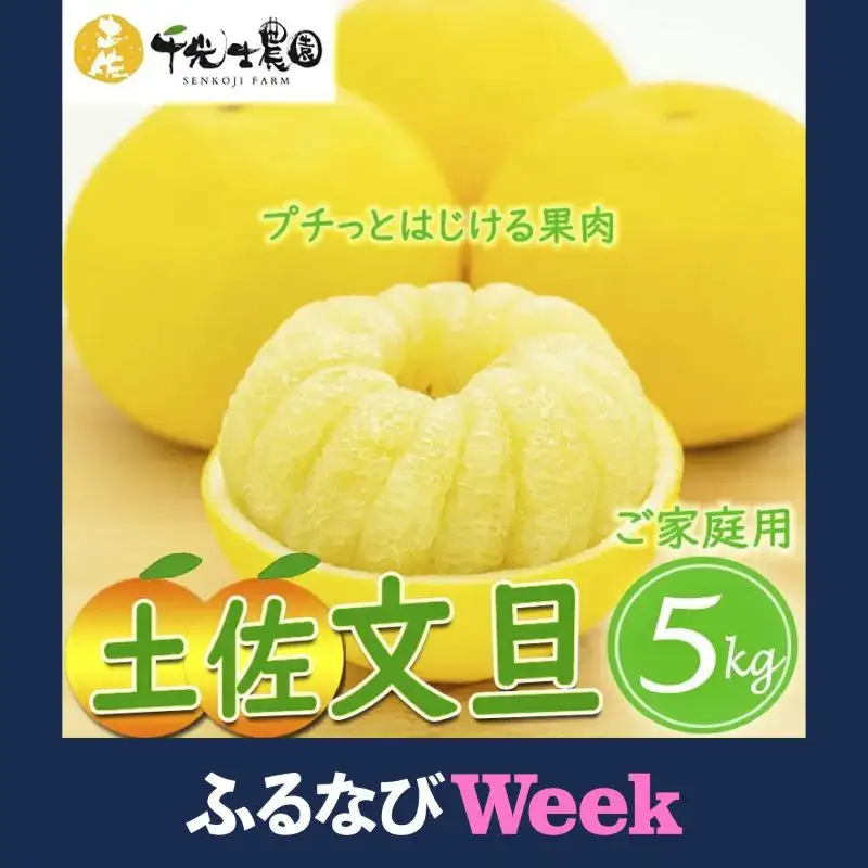 【ふるなびWEEK対象】千光士農園 土佐文旦 5kg 家庭用 文旦