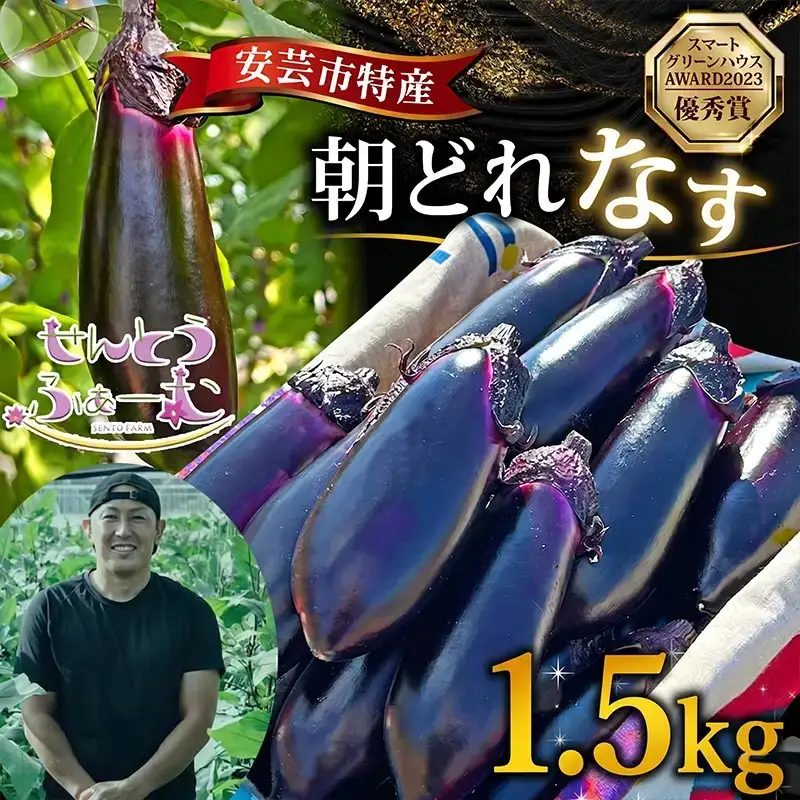 朝採れナス 約1.5kg 高知県安芸市｜ナス