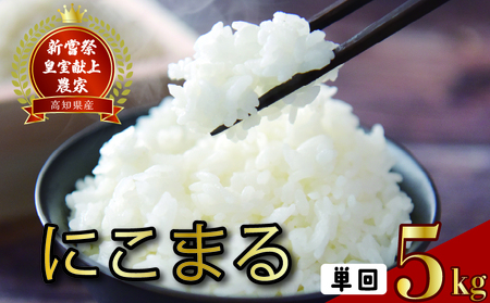 【令和7年産】 米 5kg にこまる 米 AS010