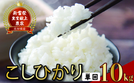 【令和7年産】 米 10kg こしひかり 米 AS013