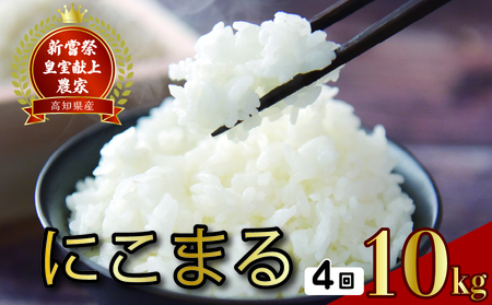 【令和7年産】 米 定期便 10kg×4回 にこまる 米 AS015