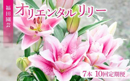  ユリ(オリエンタルリリー)7本 10ヶ月定期便【ユリ】
