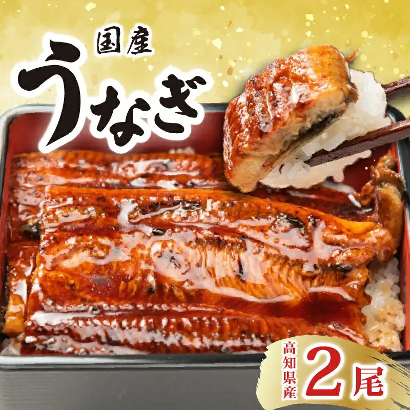 国産うなぎ蒲焼 2尾（約170g×2）