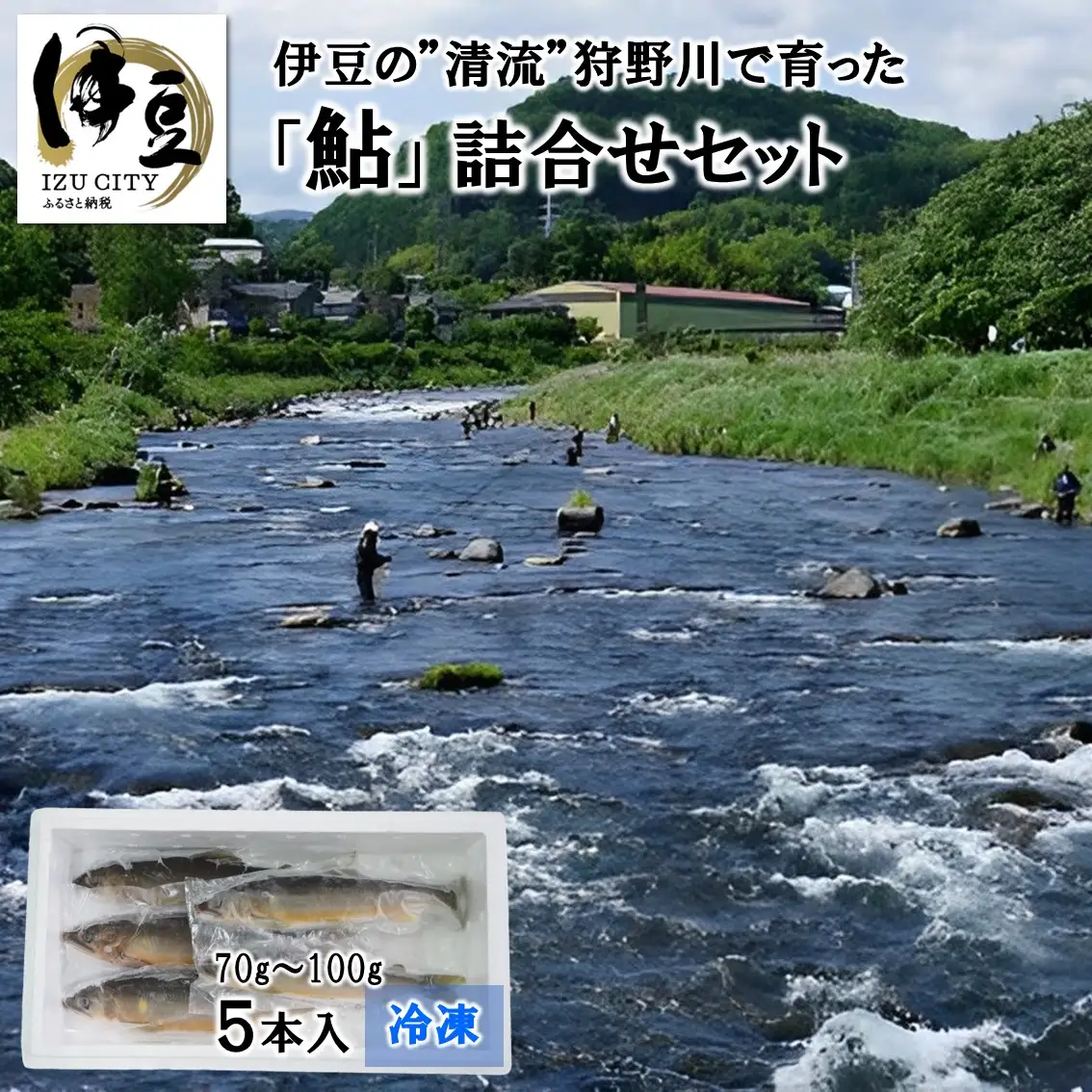 【先行予約！8月順次発送】”清流”狩野川で育った冷凍「鮎」５本詰合せセット