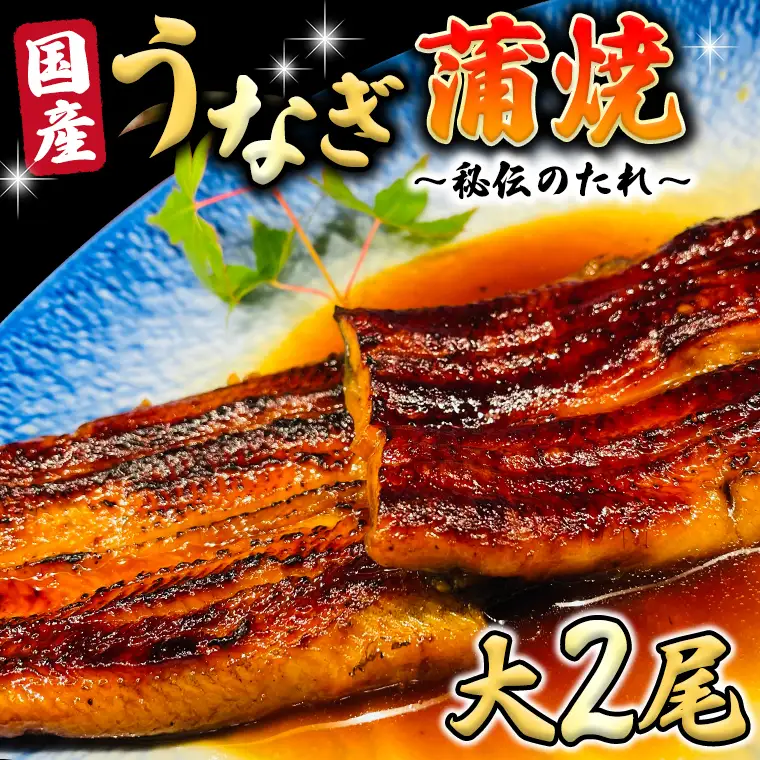 【スピード発送】 国産 うなぎ 蒲焼 大サイズ 2尾 【 日本料理 ひたち野いしざき 秘伝 の たれ焼き 】 