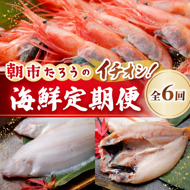 【6ヶ月連続お届け】朝市たろうのイチオシ海鮮定期便 [G-12301]