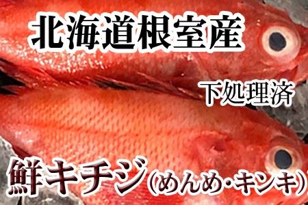 【北海道根室産】キチジ(キンキ・めんめ)×3～5尾(下処理済) C-36070
