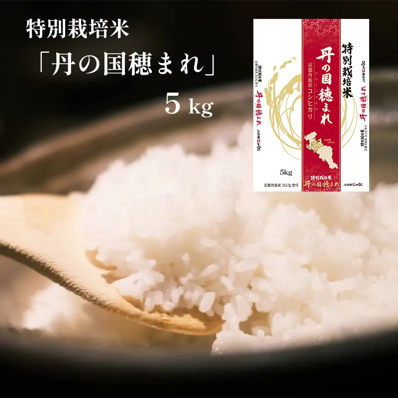  令和7年度産 特別栽培米 丹の国穂まれ 精米 5kg コシヒカリ 白米 お米