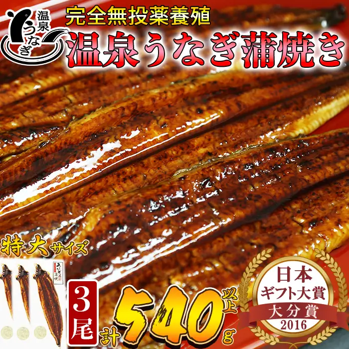 温泉うなぎ 蒲焼 3尾（180gサイズ）【大分水産】 国産 完全無投薬 うなぎ 九州 大分県 うな丼 うな重 冷凍 鰻 ギフト 受賞 特大 土用の丑の日 スタミナ 夏バテ ＜104-016＞