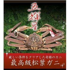 特選とっとり松葉ガニ「五輝星(いつきぼし)」【山根商店】
