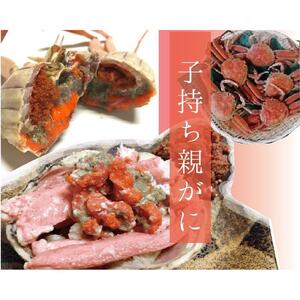 特選とっとりセコガ二 (親ガニ)10枚セット【山根商店】