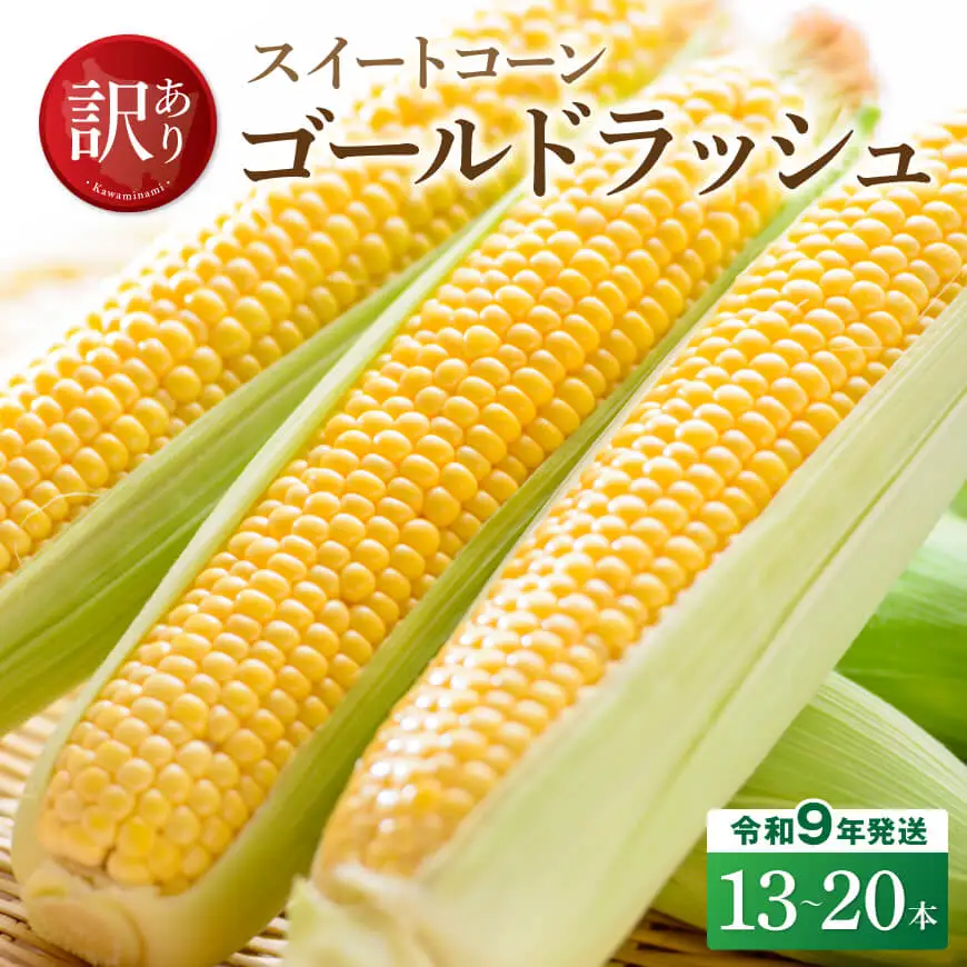 【訳あり】令和9年産　スイートコーン「ゴールドラッシュ」13~20本 【 新鮮 農家直送 トウモロコシ 産地直送 季節限定 期間限定 宮崎県産 九州産スイートコーン 】