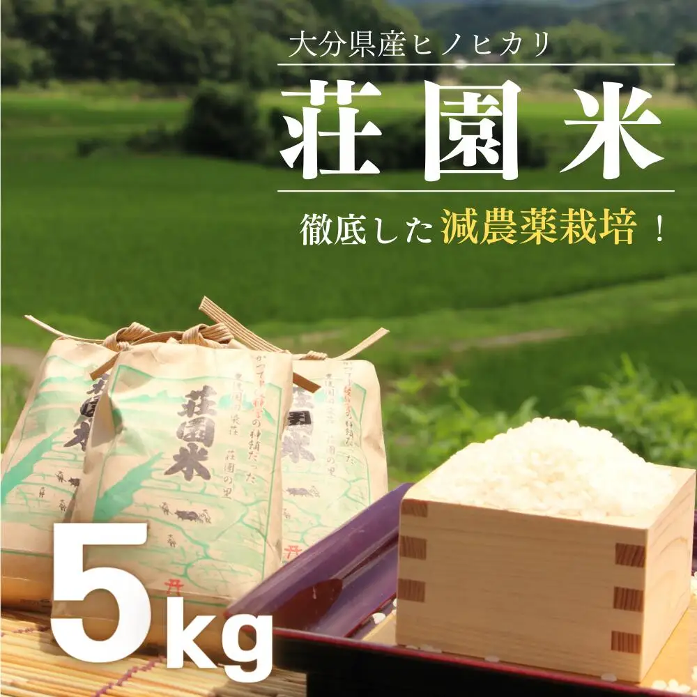ヒノヒカリ 荘園米 5kg （精米済）ひのひかり