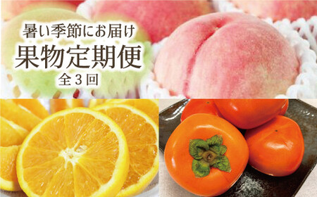 定期便 【全3回定期】果物定期便 バレンシアオレンジ 桃 柿【tkb142】