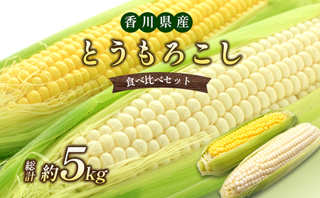 とうもろこし イエローコーン ホワイトコーン とうもろこし【約5kg 詰め合わせ】 【46312382】