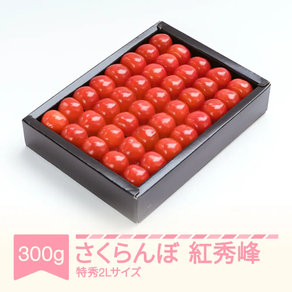 【先行予約】 さくらんぼ 紅秀峰 特秀2L 300g 令和9年産 ns-bst2x300