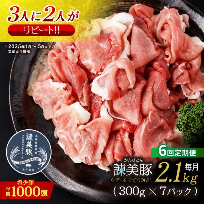 【6回定期便】＜特Aのブランド米で育てた＞諫美豚切り落とし 2.1kg / 諫美豚 豚肉 切り落とし 肉 豚 お肉 国産 人気 スライス / 諫早市 / 株式会社土井農場 [AHAD016]